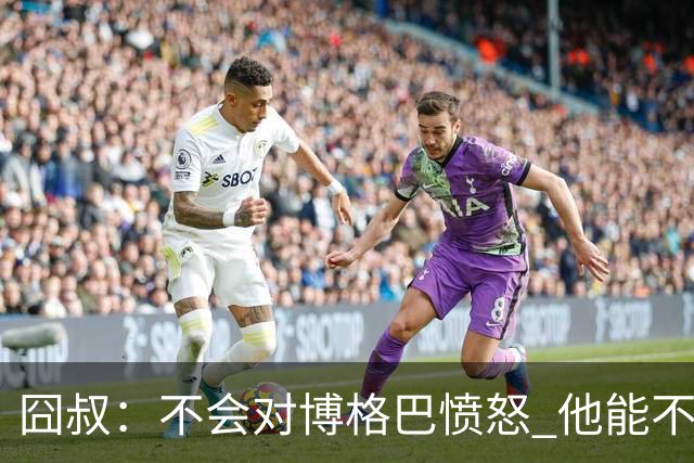囧叔：不会对博格巴愤怒 他能不能去世界杯不关我事